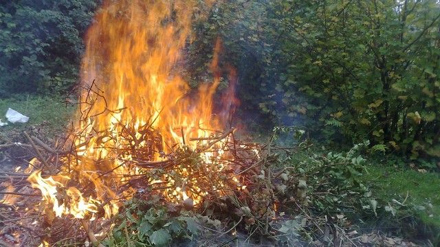 Le brûlage à l'air libre des déchets verts est interdit !