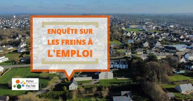Enquête sur les freins à l'emploi